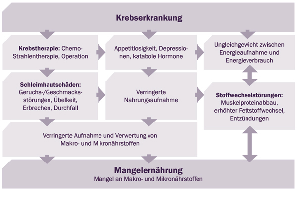 Schaubild Krebserkrankung